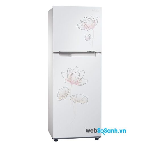 Tủ lạnh Samsung RT-29FARBDP1/SV tiết kiệm điện với công nghệ Inverter