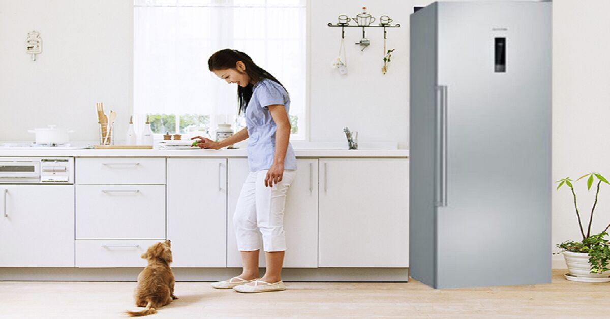 Tủ lạnh Siemens 211 lít GI81NAE30 - Mẫu tủ lạnh 1 cánh được săn đón hàng đầu 2022