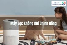 Tư vấn chọn máy lọc không khí chính hãng từ chuyên gia Điện máy Hoàng Cương