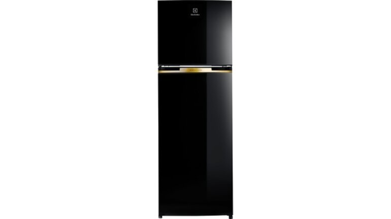 tủ lạnh Electrolux ETB3700H-H