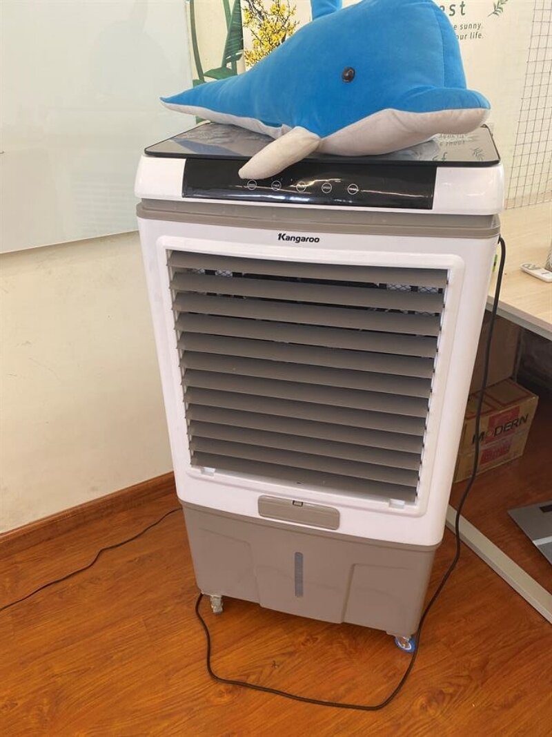 Kangaroo KG50F79N – Giải pháp làm mát lý tưởng hay cần cân nhắc thêm?