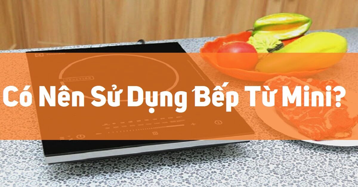 Ưu, nhược điểm của bếp từ mini? Có nên sử dụng các loại bếp từ đơn
