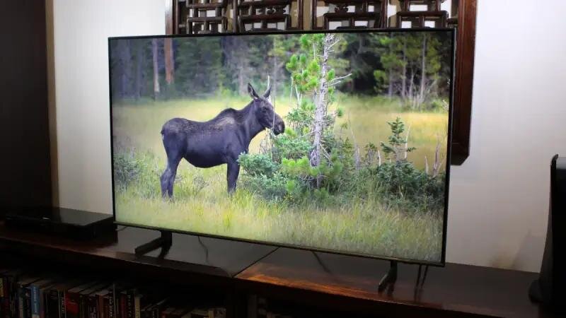 Smart tivi QLED Samsung 4K 55 inch 55Q60D: Giá trị xuất sắc với chất lượng hình ảnh ấn tượng!