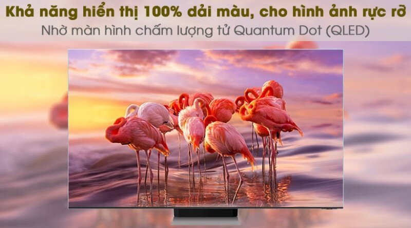Công nghệ QLED mang đến độ phủ màu rộng, hiển thị hình ảnh sống động hơn