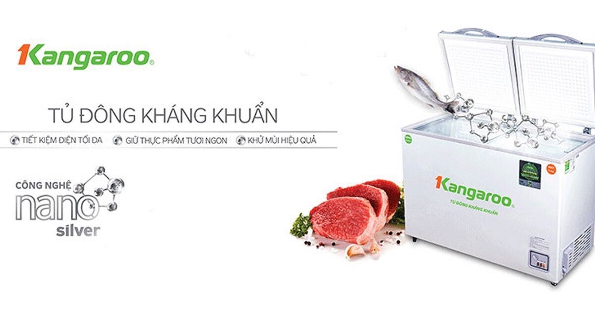 Vì sao người dùng ưu ái đầu tư tủ đông Kangaroo KG400NC2?