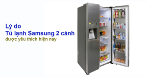 Vì sao tủ lạnh Samsung 2 cánh được yêu thích? Mẫu nào tốt?
