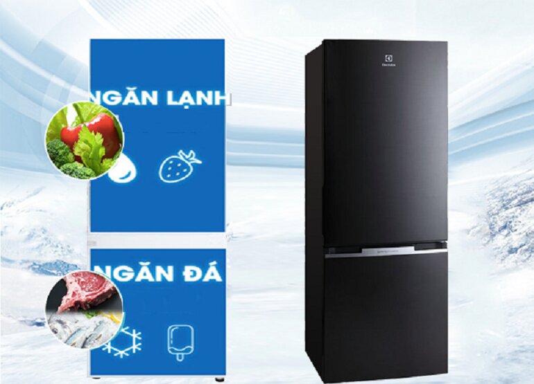 Tủ lạnh Electrolux 250 lít
