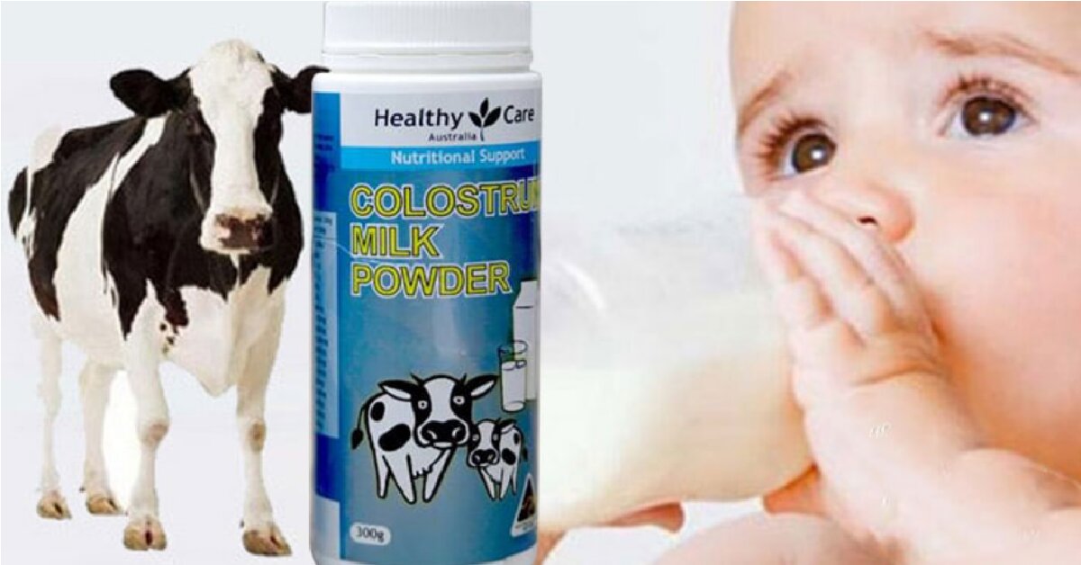 Sữa non của Úc có công dụng thế nào, giá bao nhiêu?