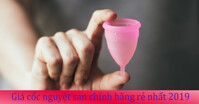 Xem ngay giá cốc nguyệt san chính hãng rẻ nhất 2019