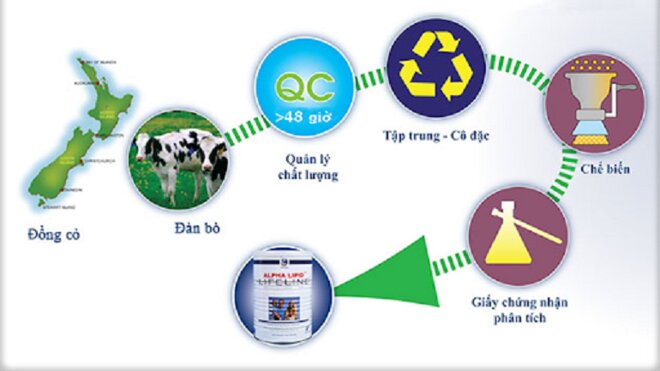 Sữa non Alpha Lipid có gì đặc biệt hơn so với các dòng sữa khác?