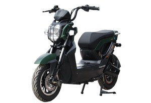 Xuất xứ xe đạp điện Zoomer do nước nào sản xuất?