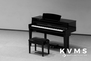 Yamaha AvantGrand N1 - “siêu phẩm” trong giới hybrid piano