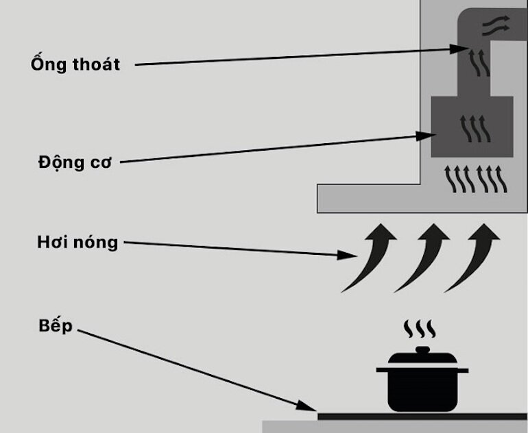 Kinh nghiệm mua bếp từ và lắp đặt bếp, tủ bếp và máy hút mùi