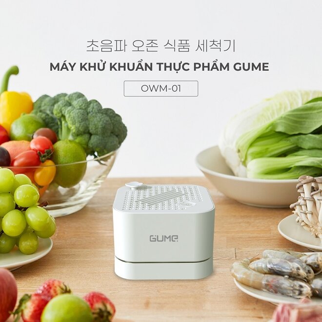 máy khử độc thực phẩm Hàn Quốc GUME OWM-01