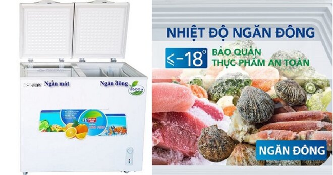 Top 5 câu hỏi thú vị về tủ đông và giải đáp chi tiết