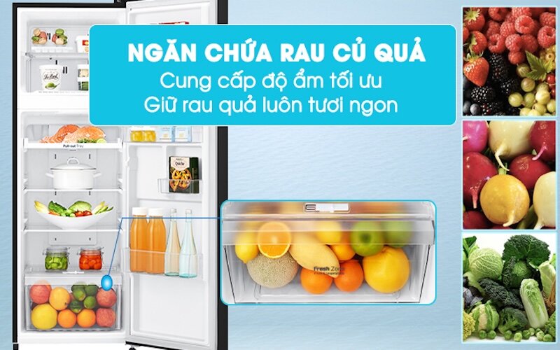 Tìm hiểu 8 đặc điểm nổi bật của tủ lạnh LG Inverter 209 lít GN-B222WB