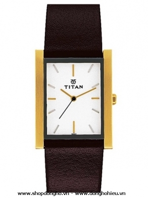 Đồng hồ nam dây da Titan 1071YL02 