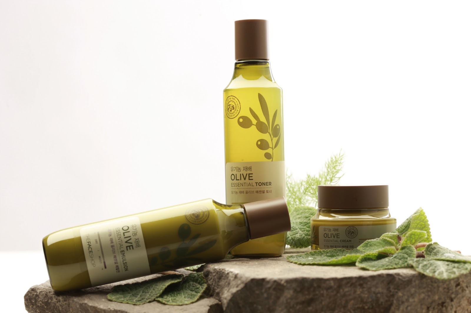 Sữa dưỡng oliu dưỡng ẩm chuyên sâu Olive Essential Emulsion The Face S...