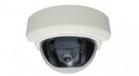 Camera bán cầu Avtech AVC543 