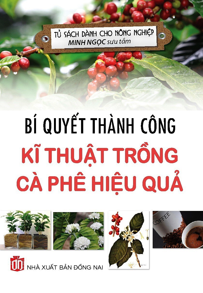 Bí Quyết Thành Công Kĩ Thuật Trồng Cà Phê Hiệu Quả 