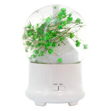 Máy xông tinh dầu hoa baby xanh lá HKTD3618