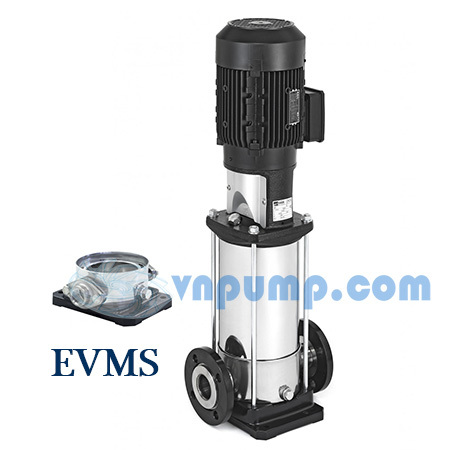 Máy bơm trục đứng Ebara EVMS 3 11N5Q1BEGE/1.1 1.5HP 