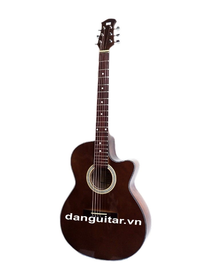 Đàn Guitar Acoustic GA-14HL 