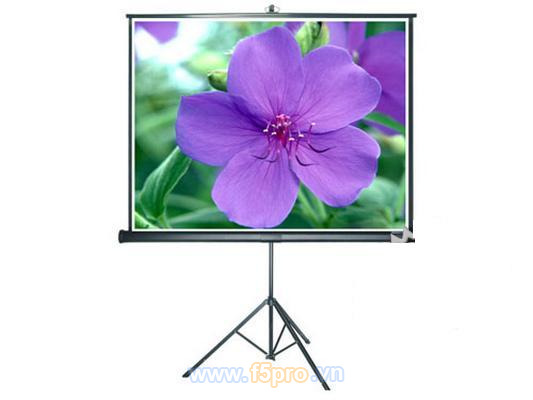 Màn chiếu Prima - 3 chân, 96''x72'' 