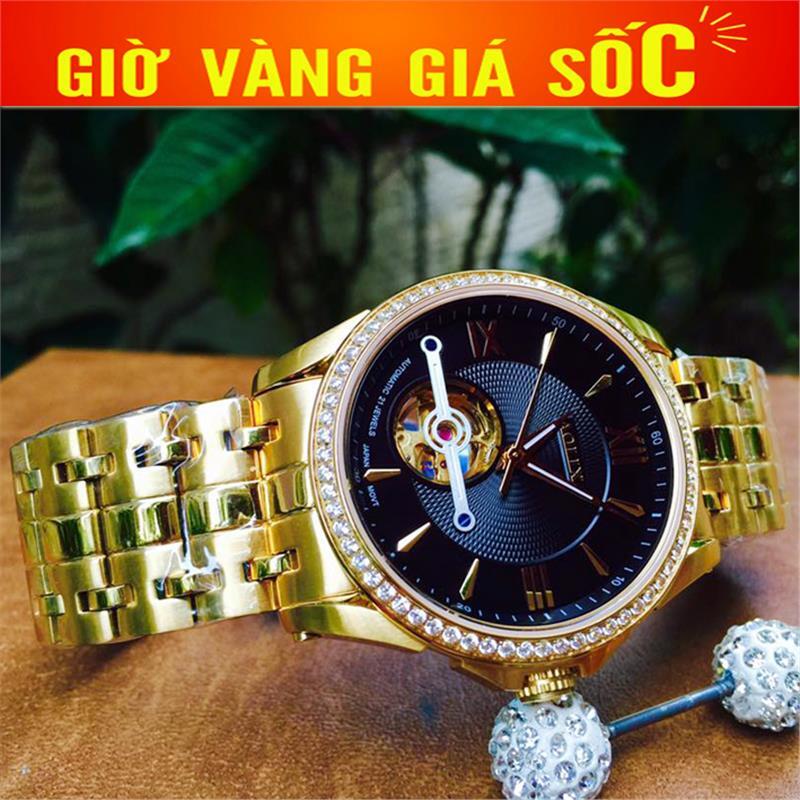 Đồng hồ nam Aolix Automatic AL3017G-1FG 
