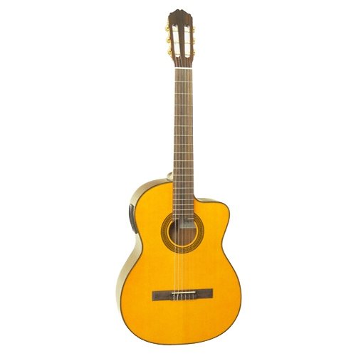 Đàn Guitar Takamine ED30C 