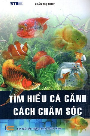 Tìm Hiểu Cá Cảnh - Cách Chăm Sóc 