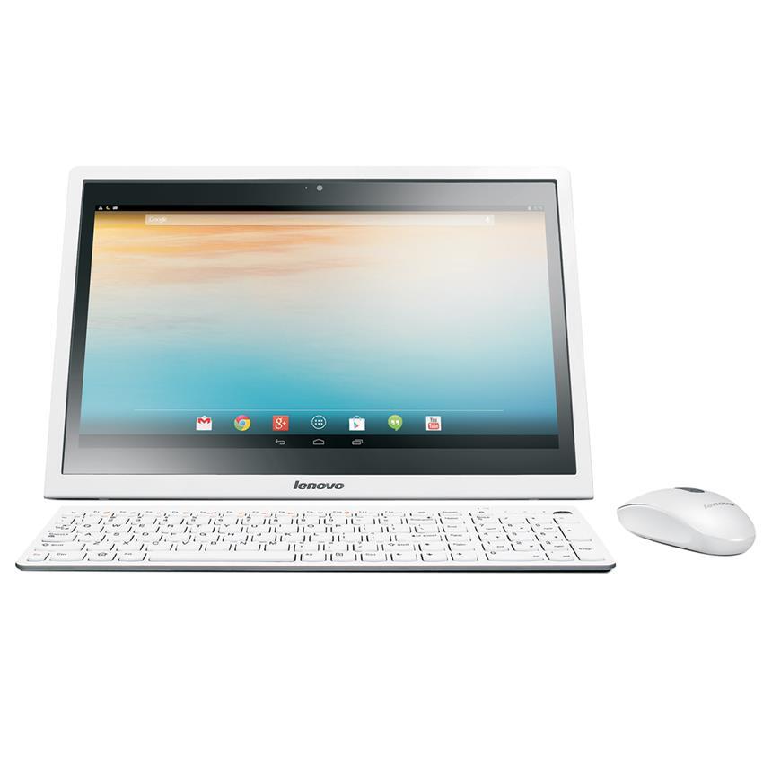 Lenovo N300
