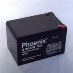 Ắc quy Phoenix TS12120 (12V-12Ah)
