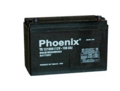 Ắc quy Phoenix TS121000