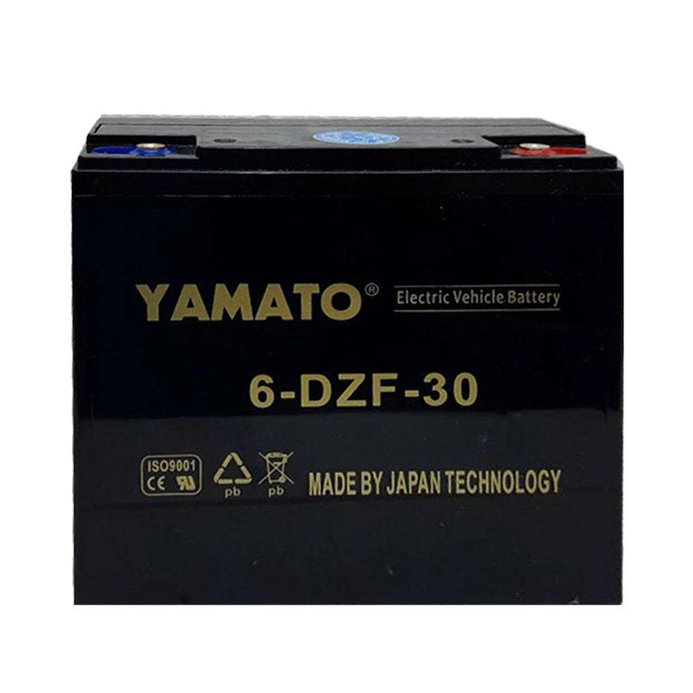 Ắc quy xe đạp điện Yamato 12V 30Ah, 6-DZF-30