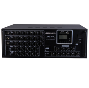 Amply Artsound Pro 12T1