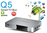 Android TV Box Himedia Q5 IV