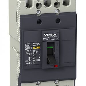 Aptomat - MCCB Schneider EZC100F3020