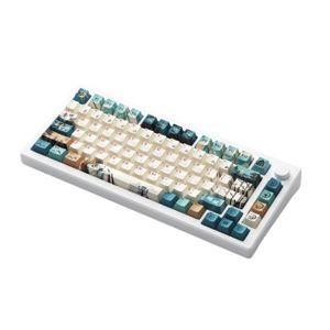 Bàn phím cơ Akko MOD 007B HE PC Joy of Life