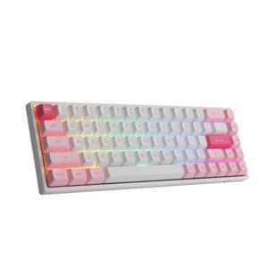 Bàn phím -Keyboard Akko 3068B Multi-modes Prunus Lannesiana
