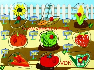 Bảng xếp hình Rau củ Veesano VND