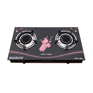 Bếp gas đôi Fujishi FM-H08