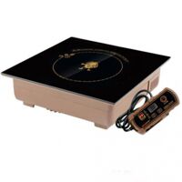 Bếp từ âm 1 vùng nấu YP-X300