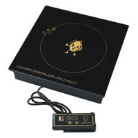 Bếp từ âm 1 vùng nấu YP-X320