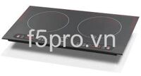 Bếp từ âm 2 vùng nấu Steba IK100