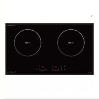 Bếp từ âm 2 vùng nấu T256 PLUS-1