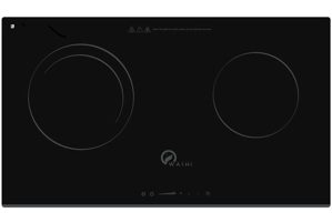 Bếp từ âm 2 vùng nấu Washi WAS-206I