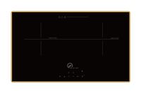 Bếp từ âm 2 vùng nấu Washi WC 202I