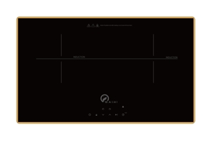 Bếp từ âm 2 vùng nấu Washi WC 202I