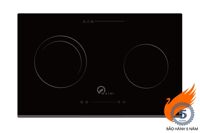 Bếp từ âm 2 vùng nấu Washi WK 203I